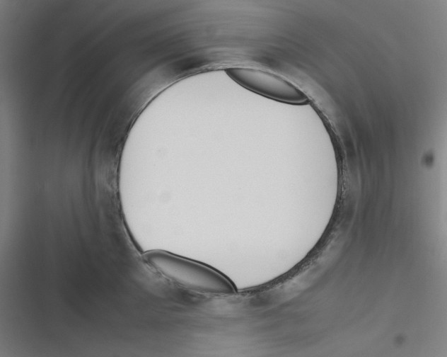 X0000116330905201001131022