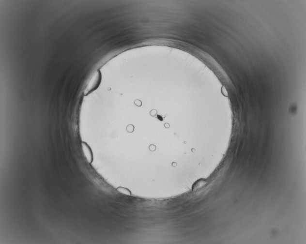 X0000116330908201001131022