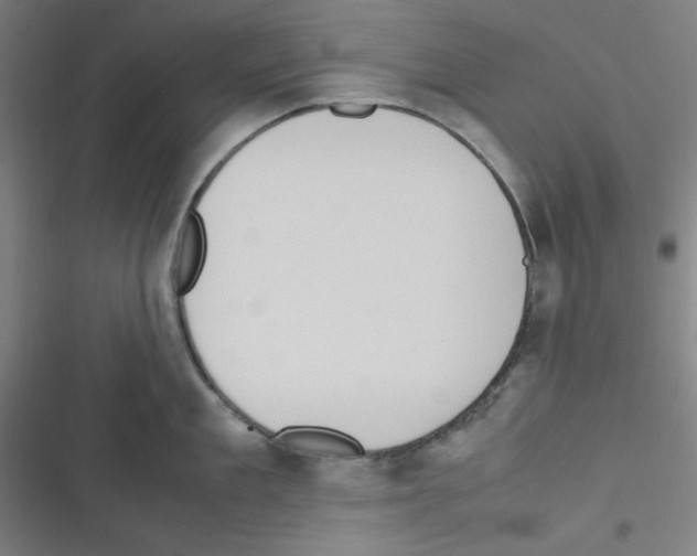 X0000116330909201001131022
