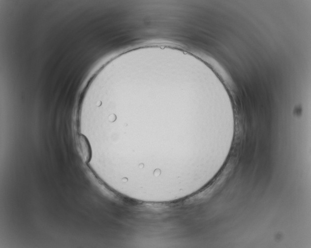 X0000116330910201001131022