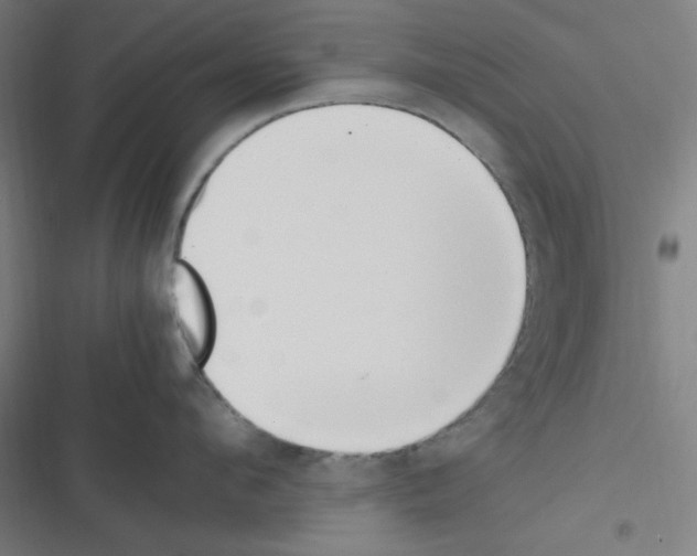 X0000116330912201001131022