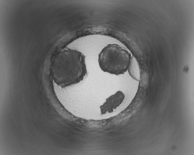 X0000116330913201001131021