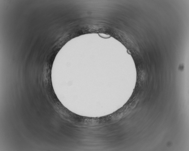 X0000116330914201001131021
