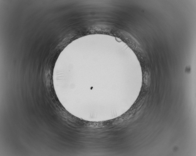 X0000116330915201001131021