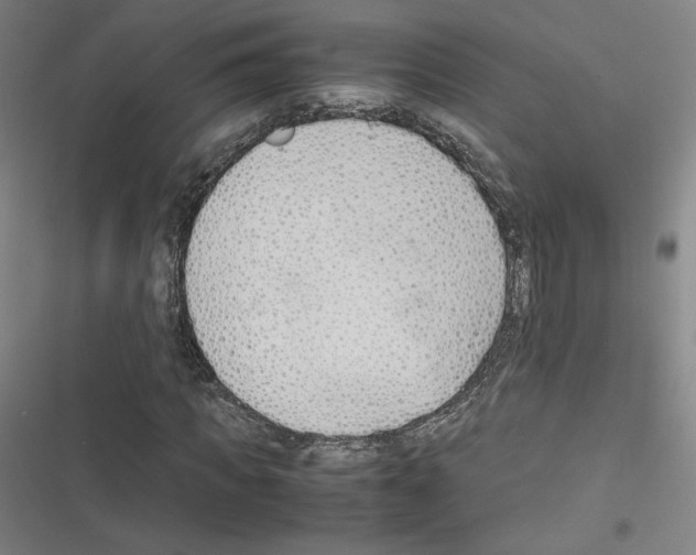 X0000116330917201001131021