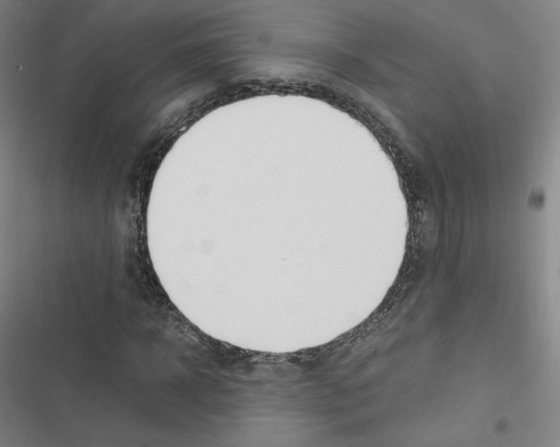 X0000116330918201001131021