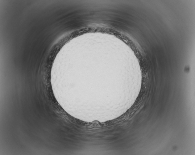 X0000116330919201001131021