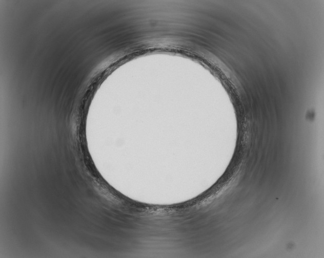 X0000116330922201001131021