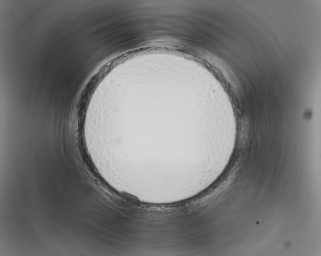 X0000116330923201001131021