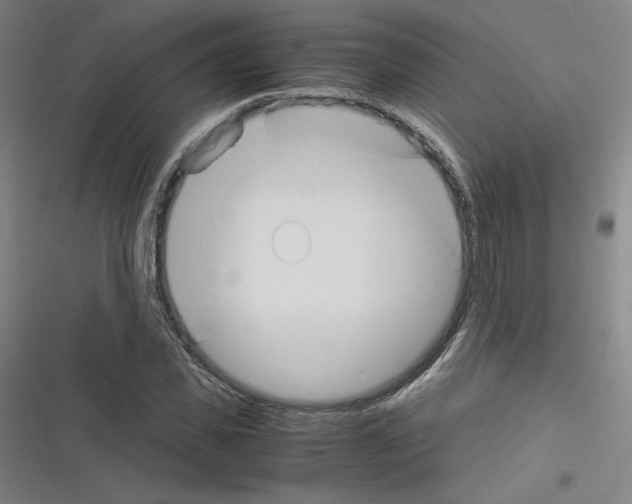 X0000116330925201001131021