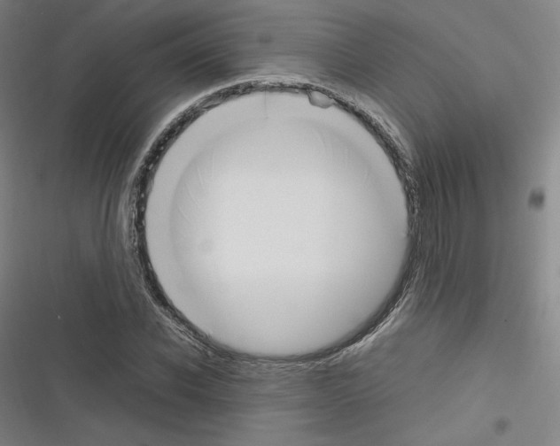 X0000116330926201001131021