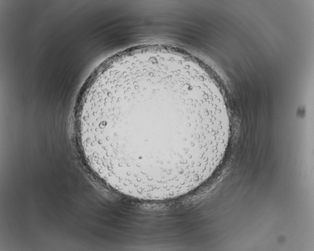 X0000116330927201001131021