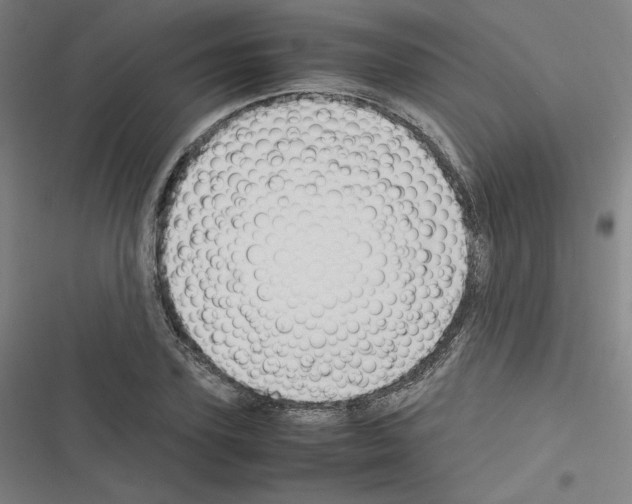 X0000116330931201001131021