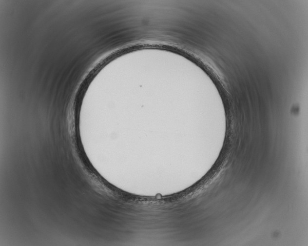 X0000116330934201001131021