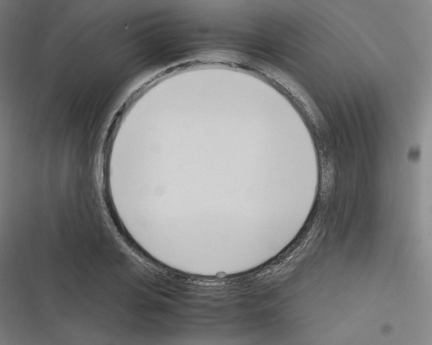 X0000116330935201001131021