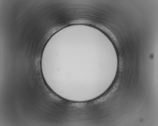 X0000116330937201001131021