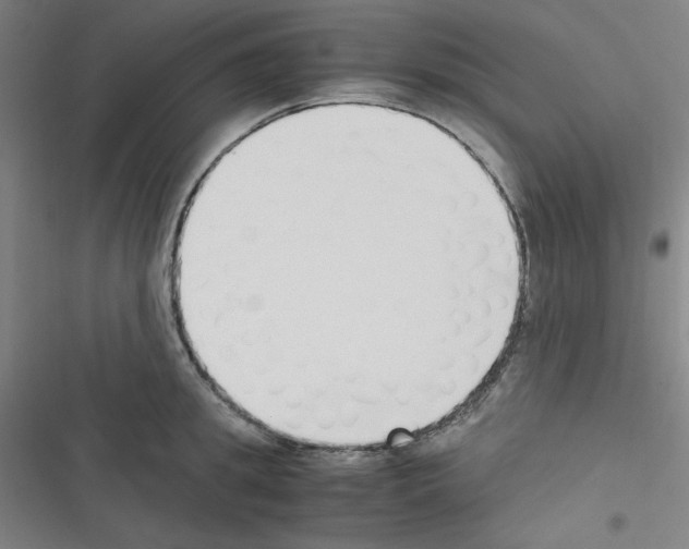 X0000116330949201001131021