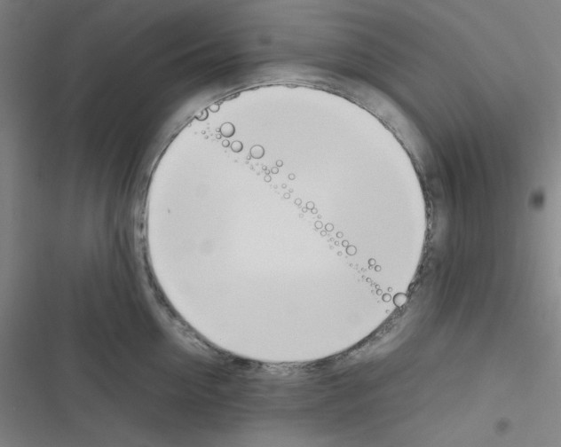 X0000116330954201001131021