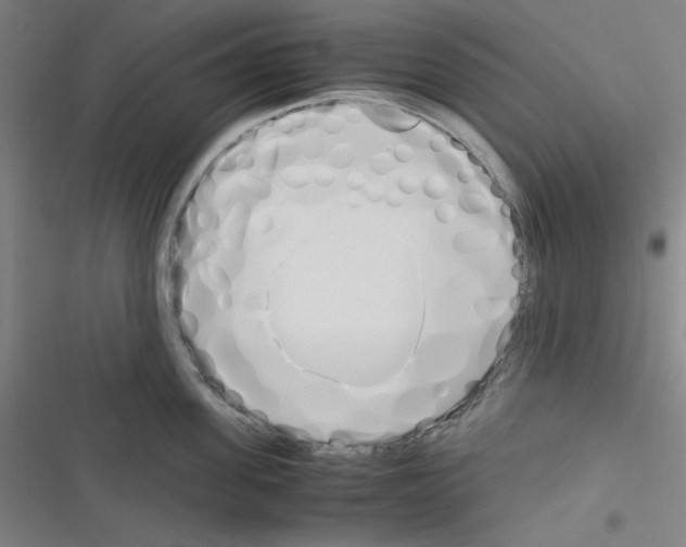 X0000116330955201001131021