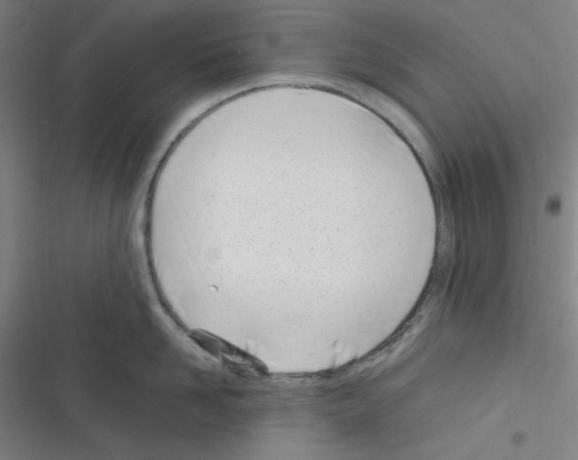 X0000116330958201001131022