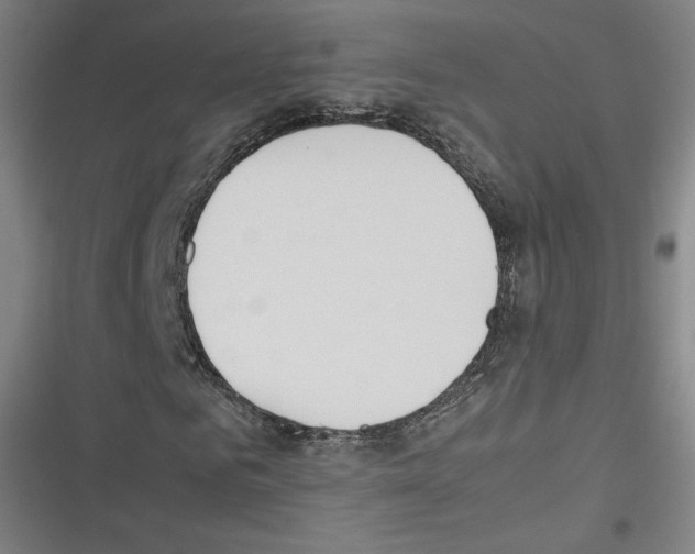 X0000116330961201001131021