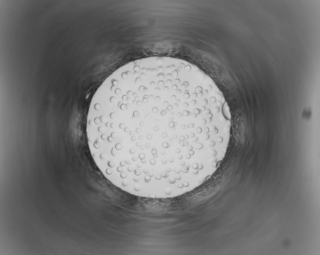 X0000116330962201001131021