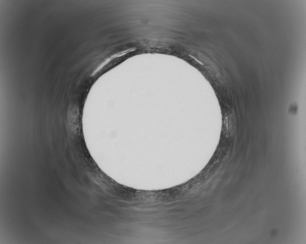 X0000116330963201001131021