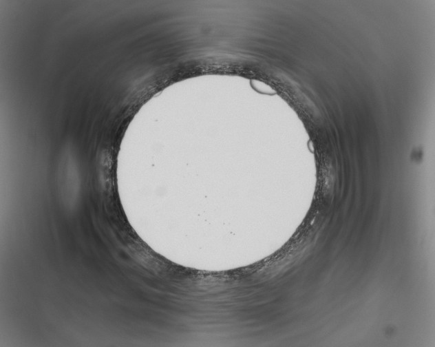 X0000116330964201001131021