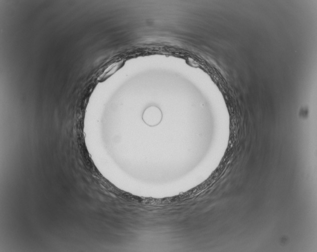 X0000116330965201001131021