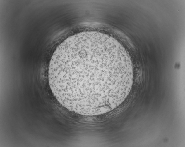 X0000116330966201001131021