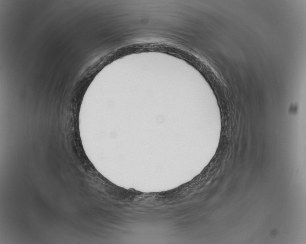 X0000116330967201001131021