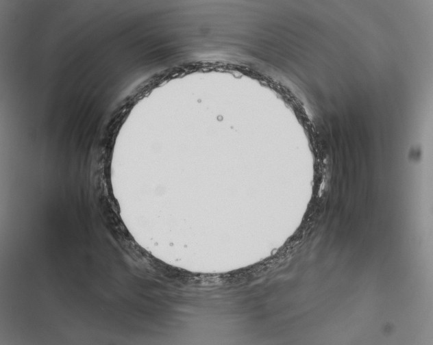 X0000116330968201001131021