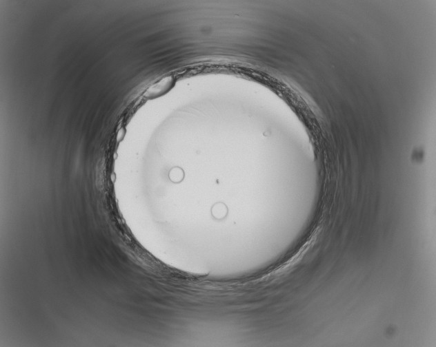 X0000116330969201001131021