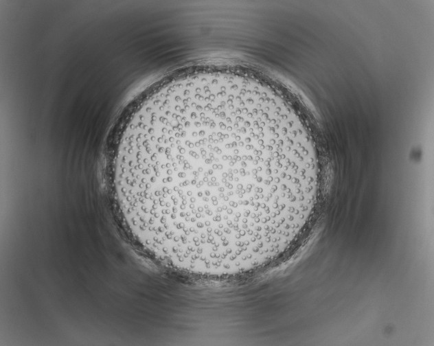 X0000116330970201001131021