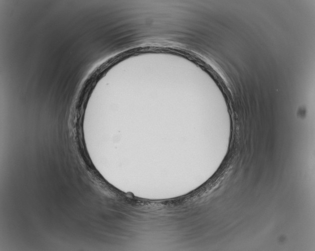 X0000116330971201001131021