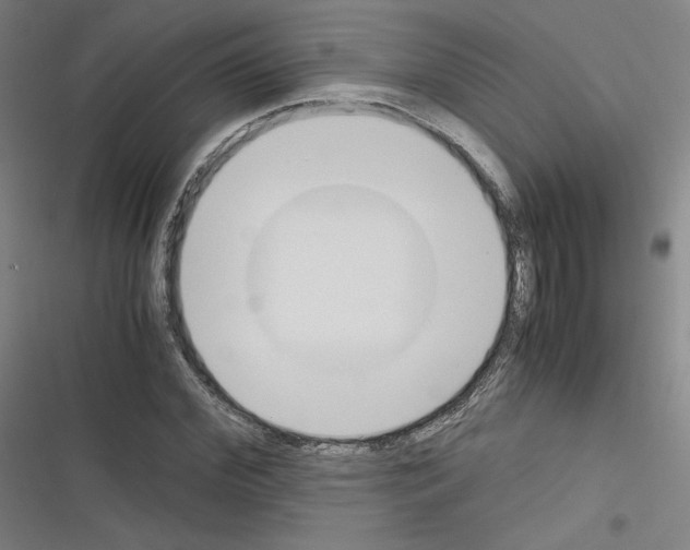 X0000116330972201001131021