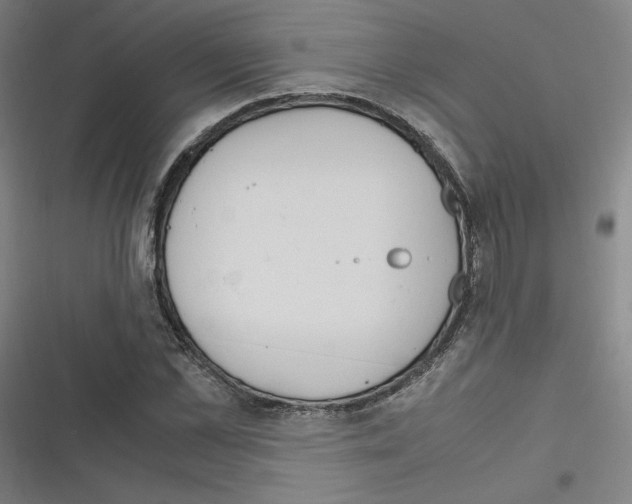 X0000116330973201001131021
