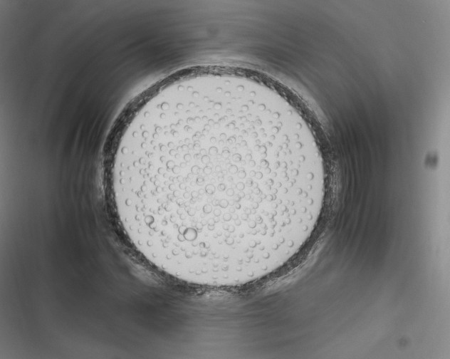 X0000116330974201001131021