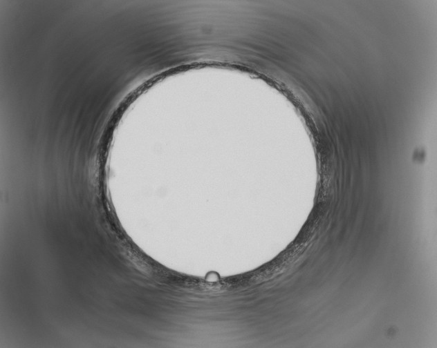 X0000116330975201001131021