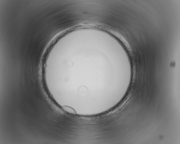 X0000116330976201001131021