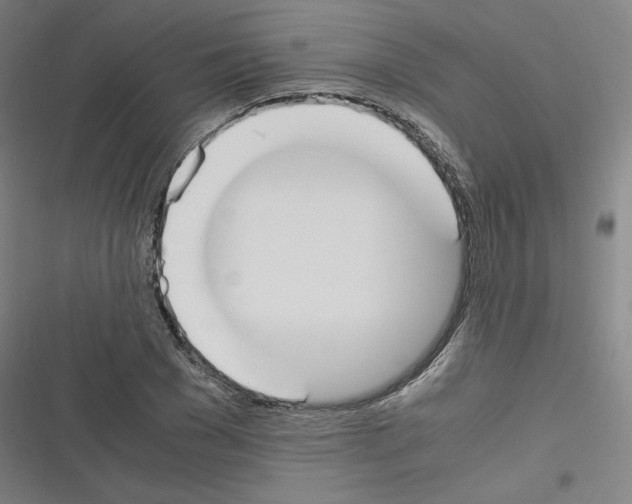 X0000116330977201001131021