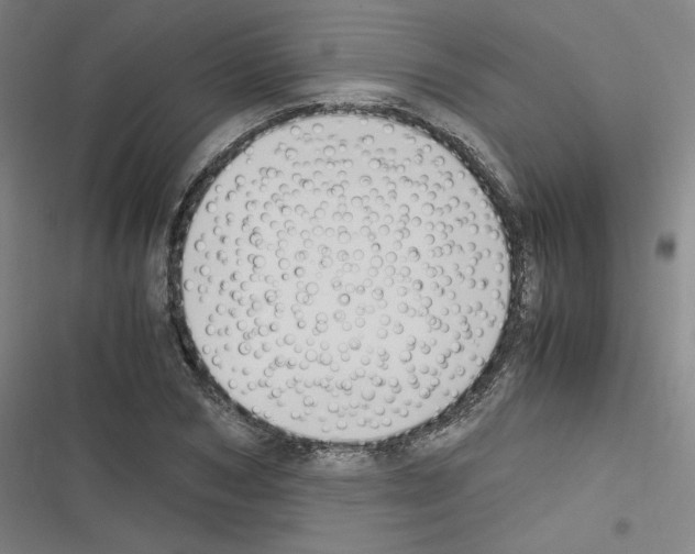 X0000116330978201001131021