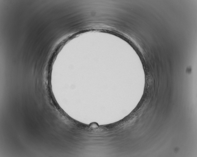 X0000116330979201001131021