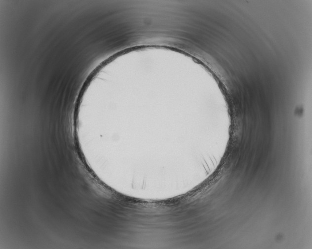 X0000116330980201001131021