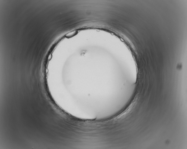 X0000116330981201001131021