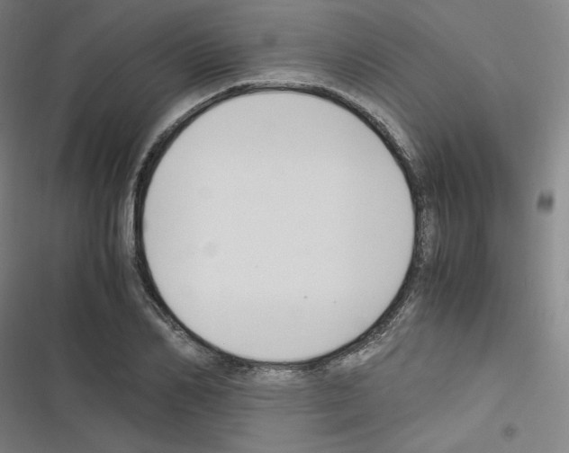 X0000116330982201001131021
