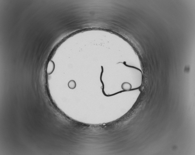 X0000116330983201001131021