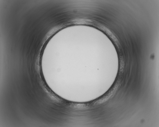 X0000116330986201001131021