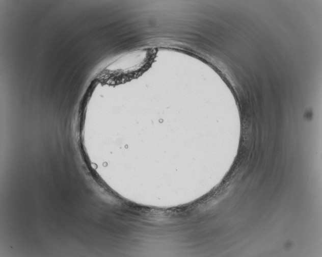 X0000116330987201001131021