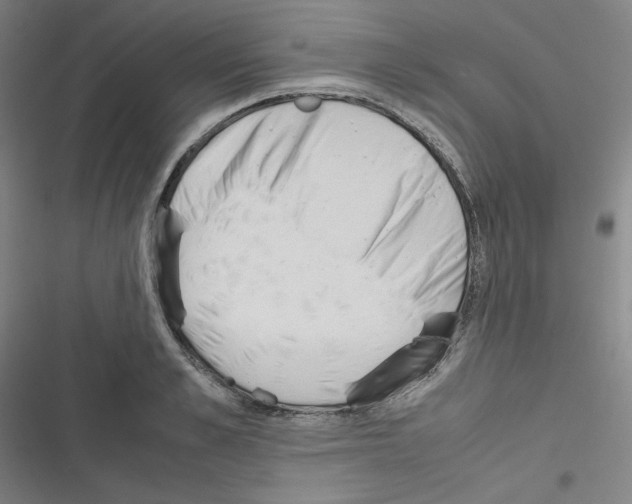 X0000116330989201001131020